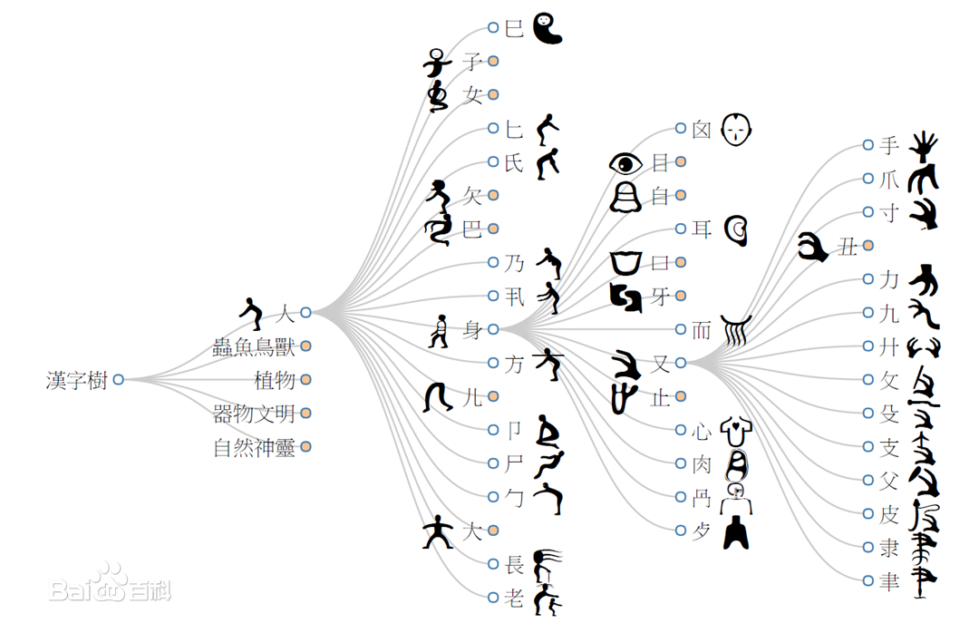 載上幾棵漢字樹小