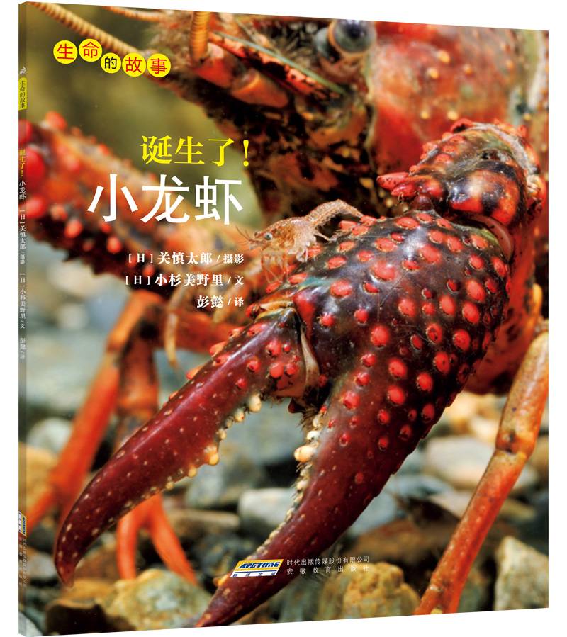 《生命的故事：誕