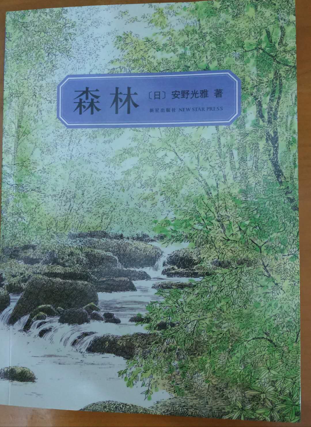 繪本《森林》：一