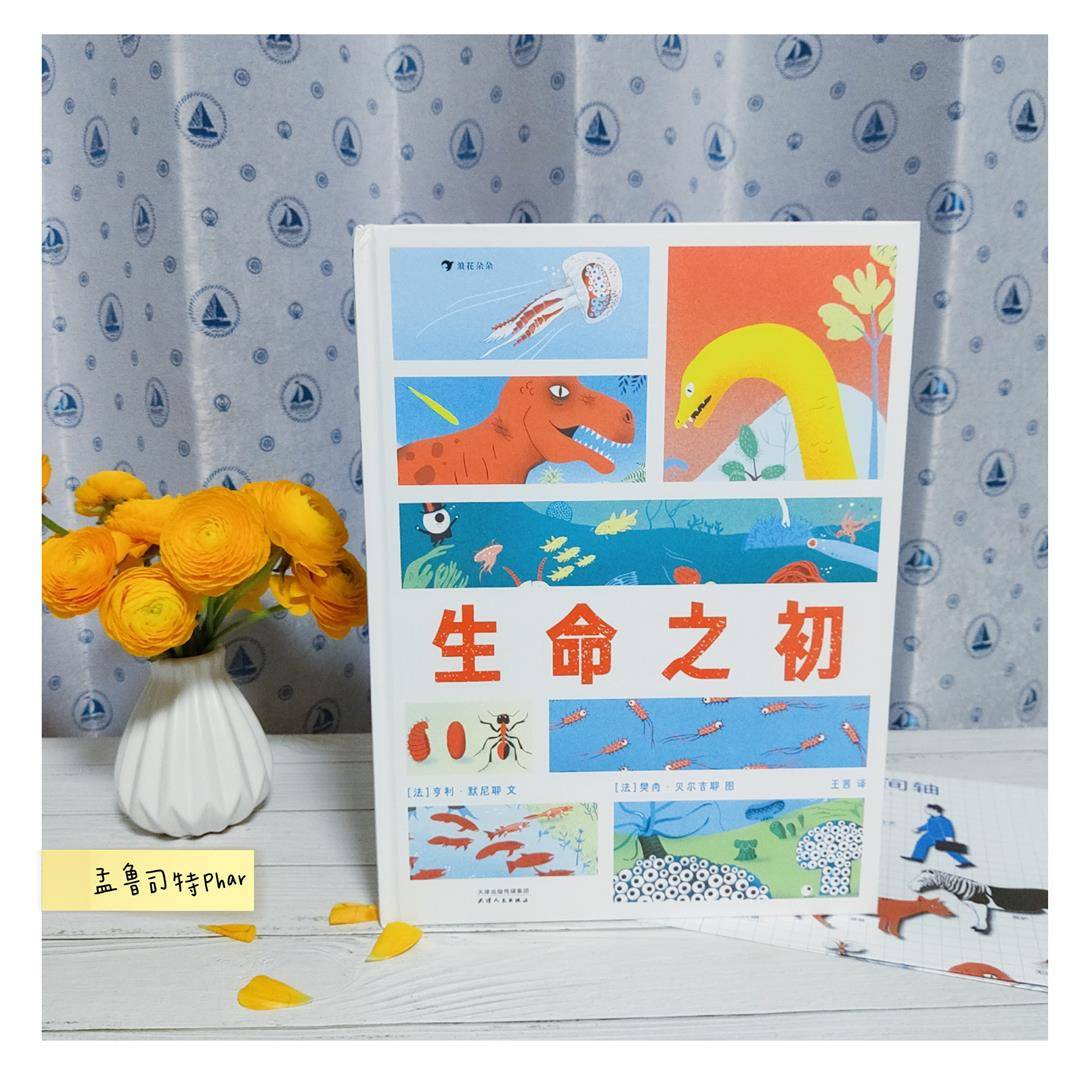 盤古開(kāi)天地，進(jìn)化