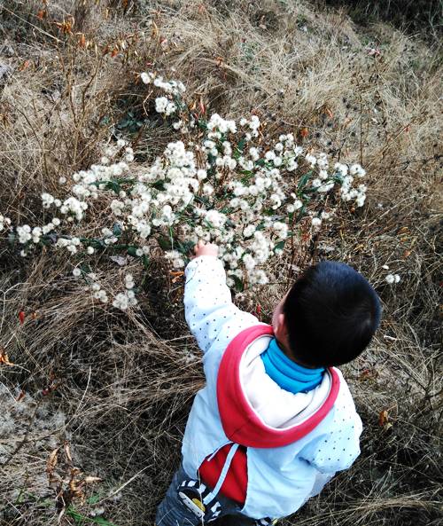 定居鄉(xiāng)村四年了，