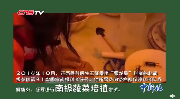 花生征文 | 我，