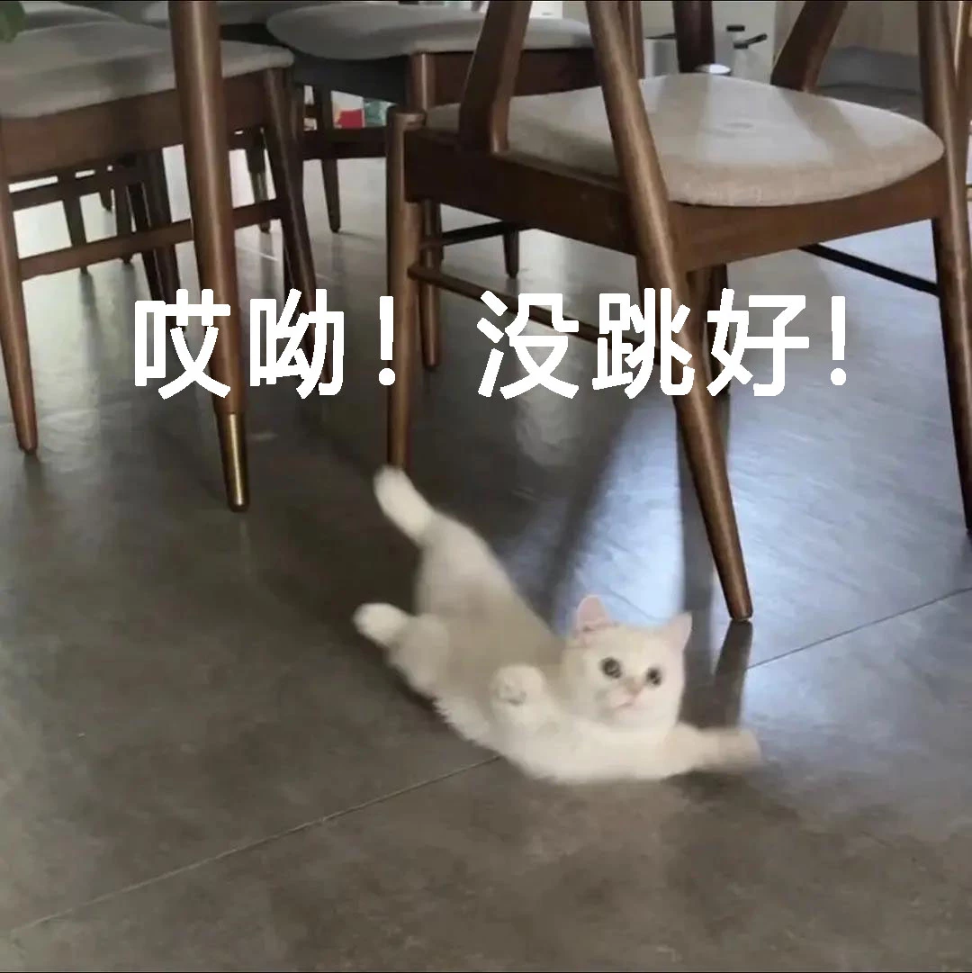一年级语文书上的