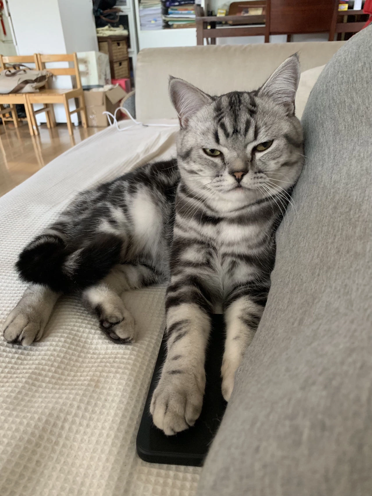 鸡娃有代价，不鸡