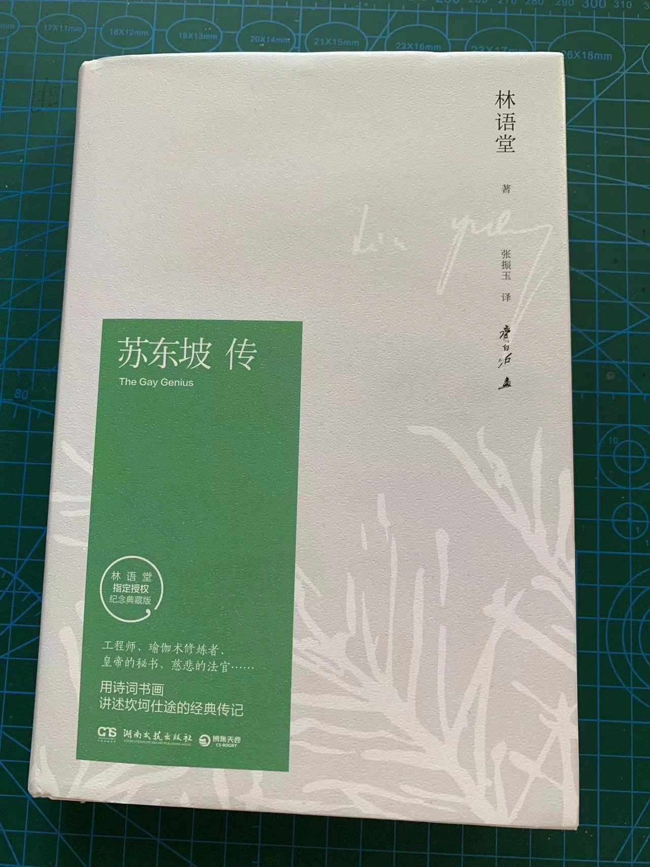 讀《蘇東坡傳》有