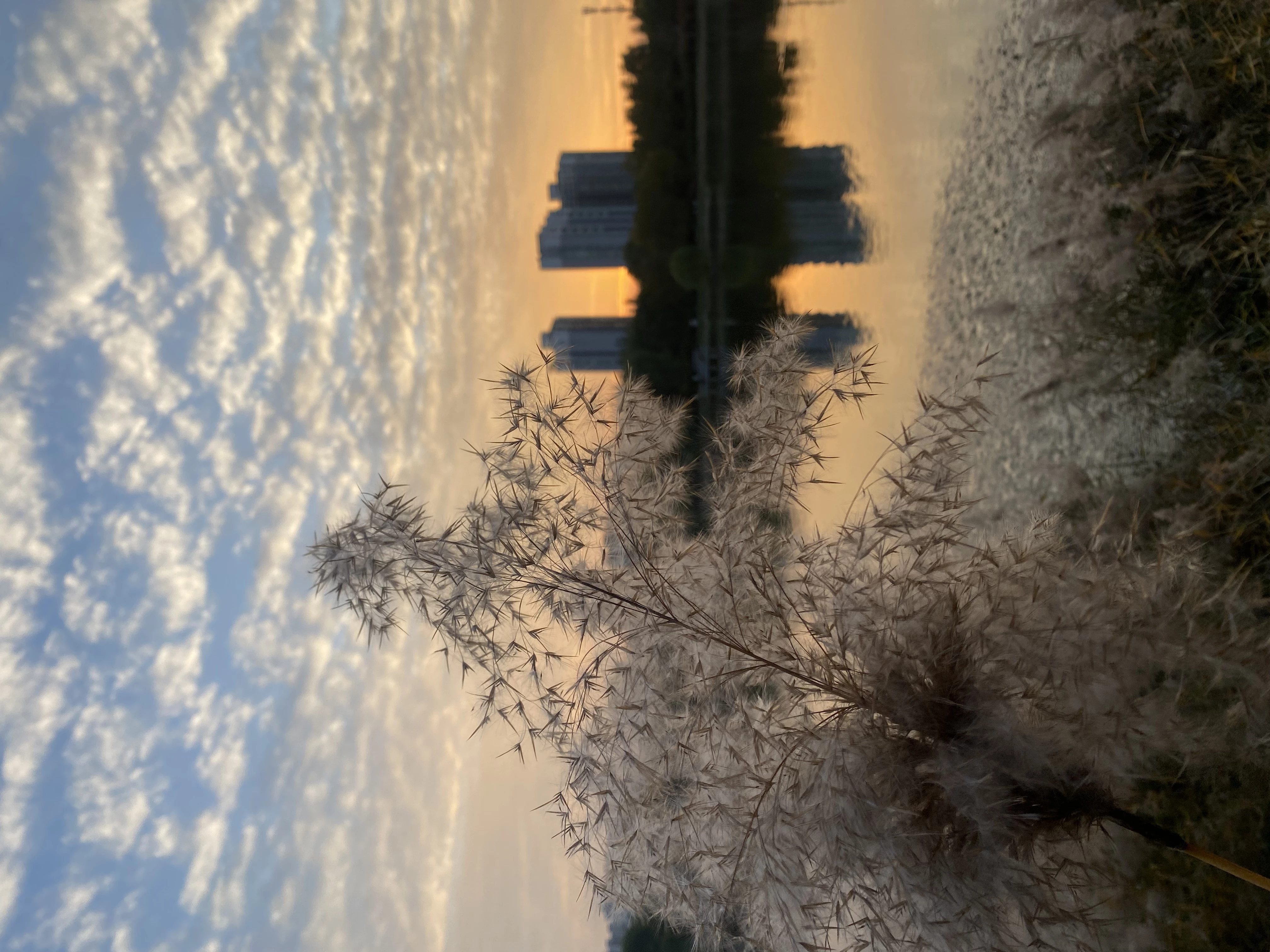 首篇說點兒什么吧