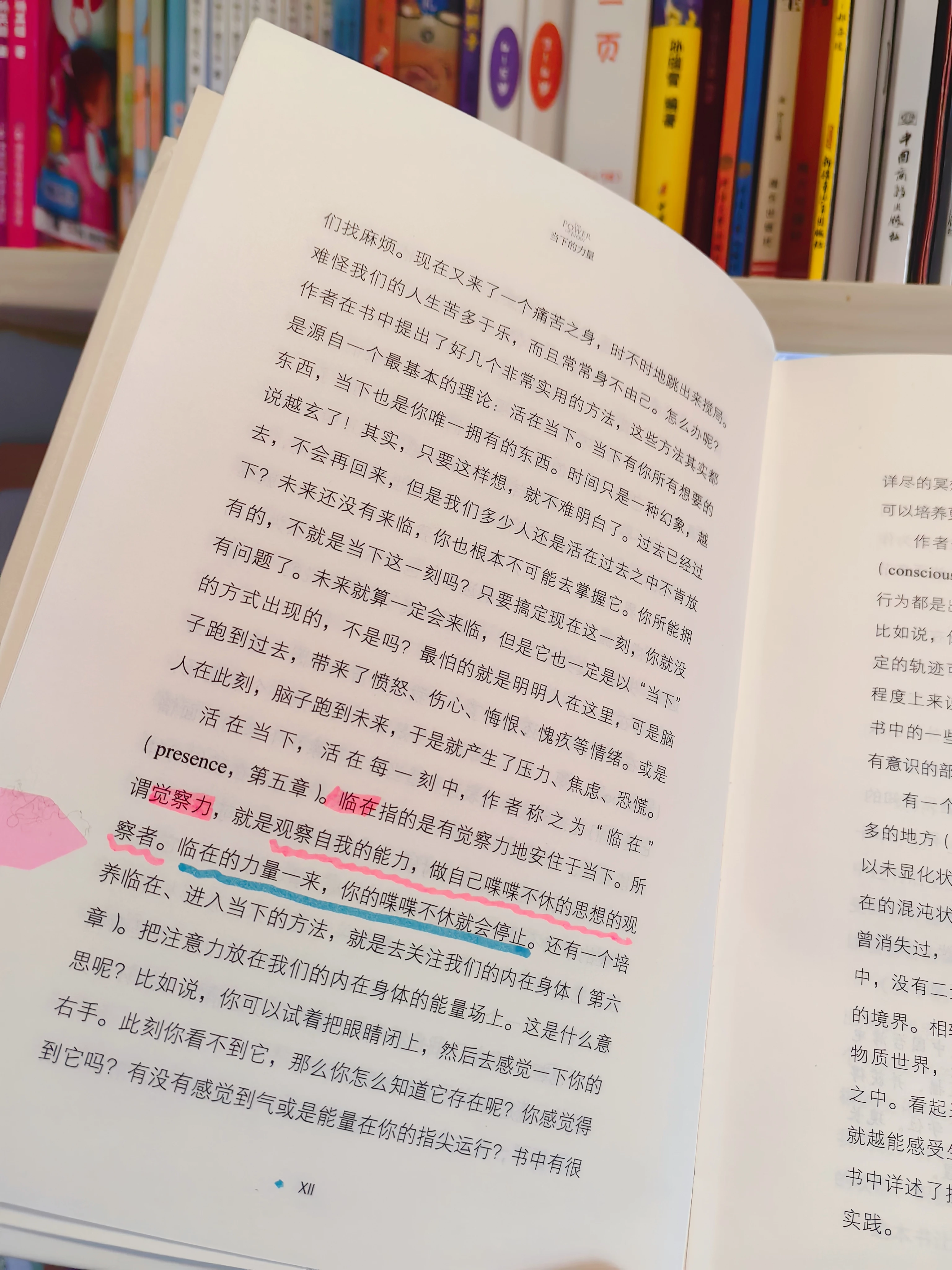 读《当下的力量》