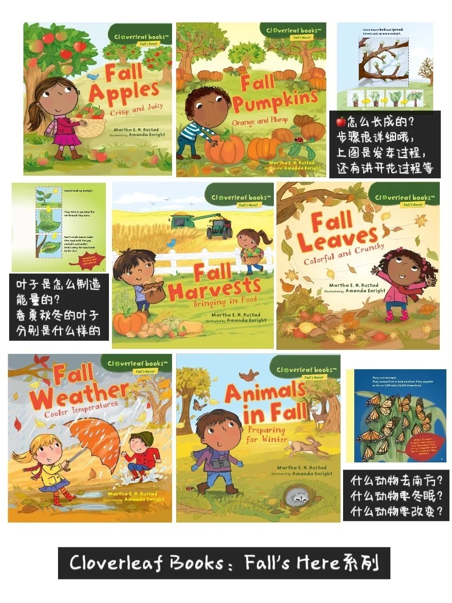 英文繪本：Fall's