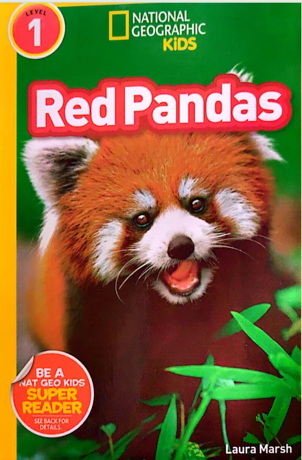 Red Pandas