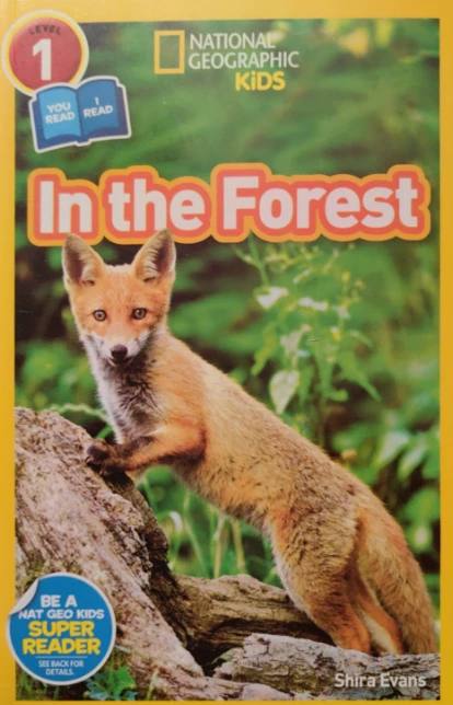 In the Forest
