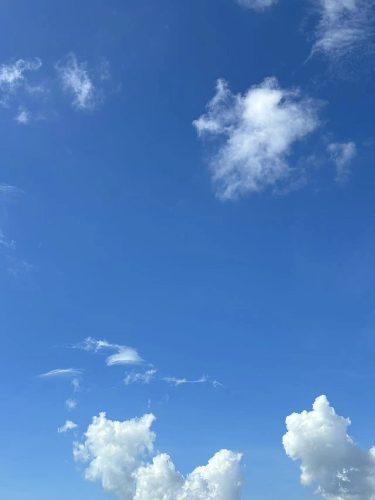 漫長(zhǎng)而偉大的青春