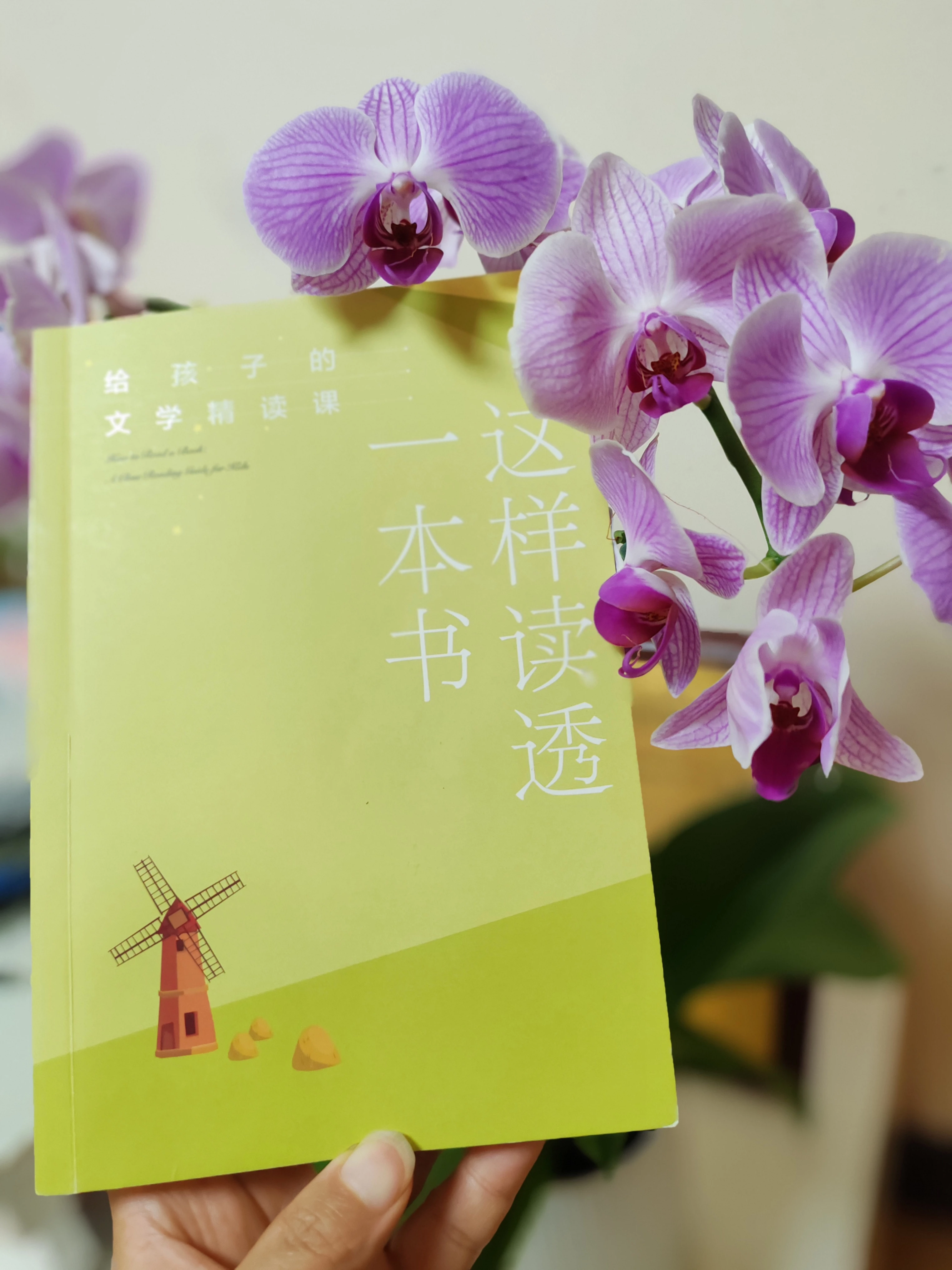 这样读透一本书