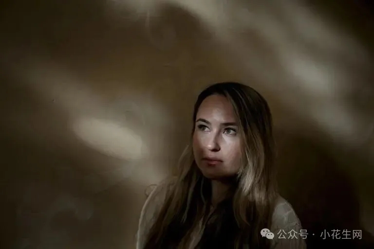 华尔街日报：数百