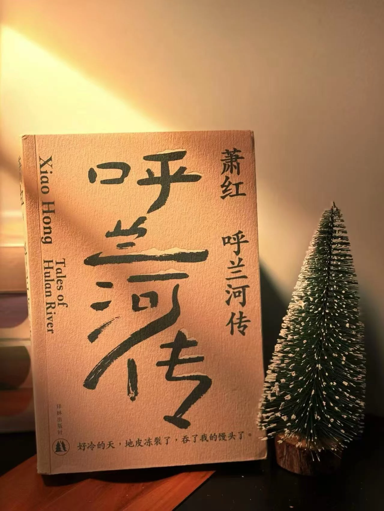 文字生根，心灵抽