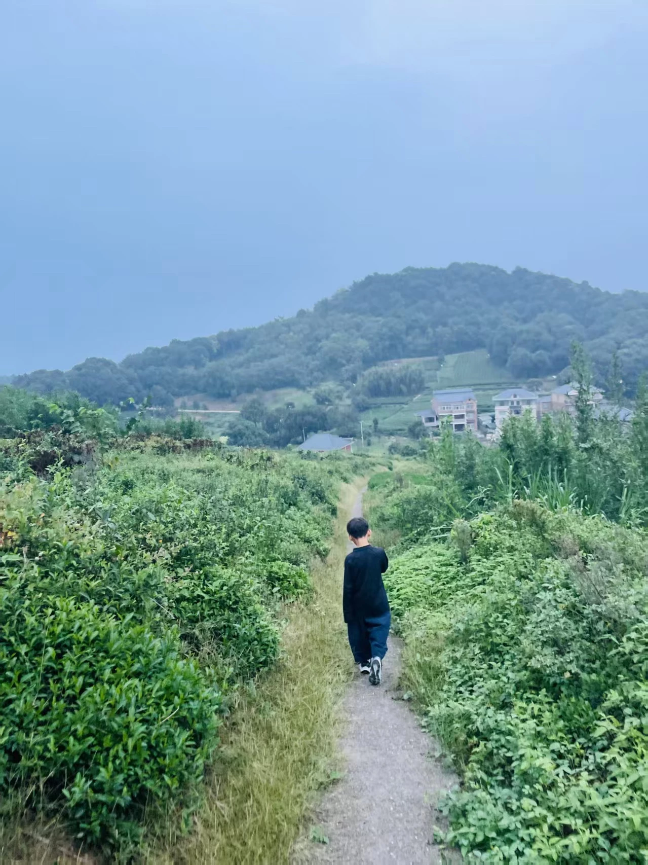 生命在于运动（写