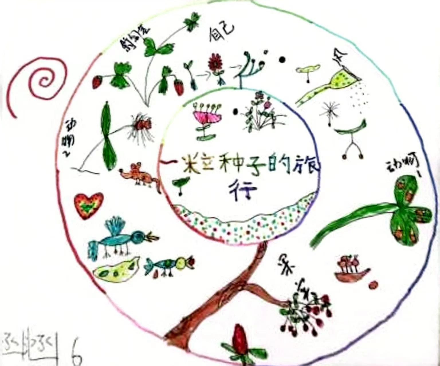 娃读绘本追着问？