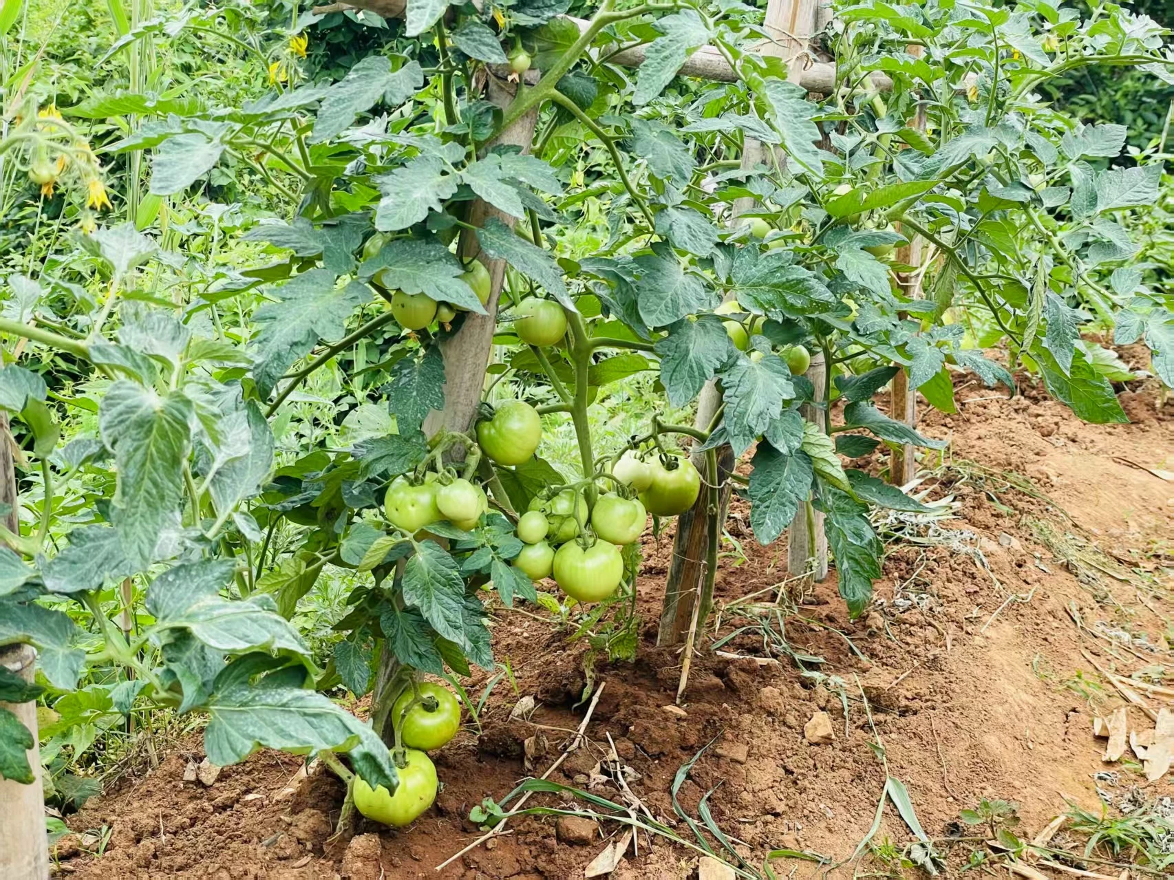 劳动教育第一课—