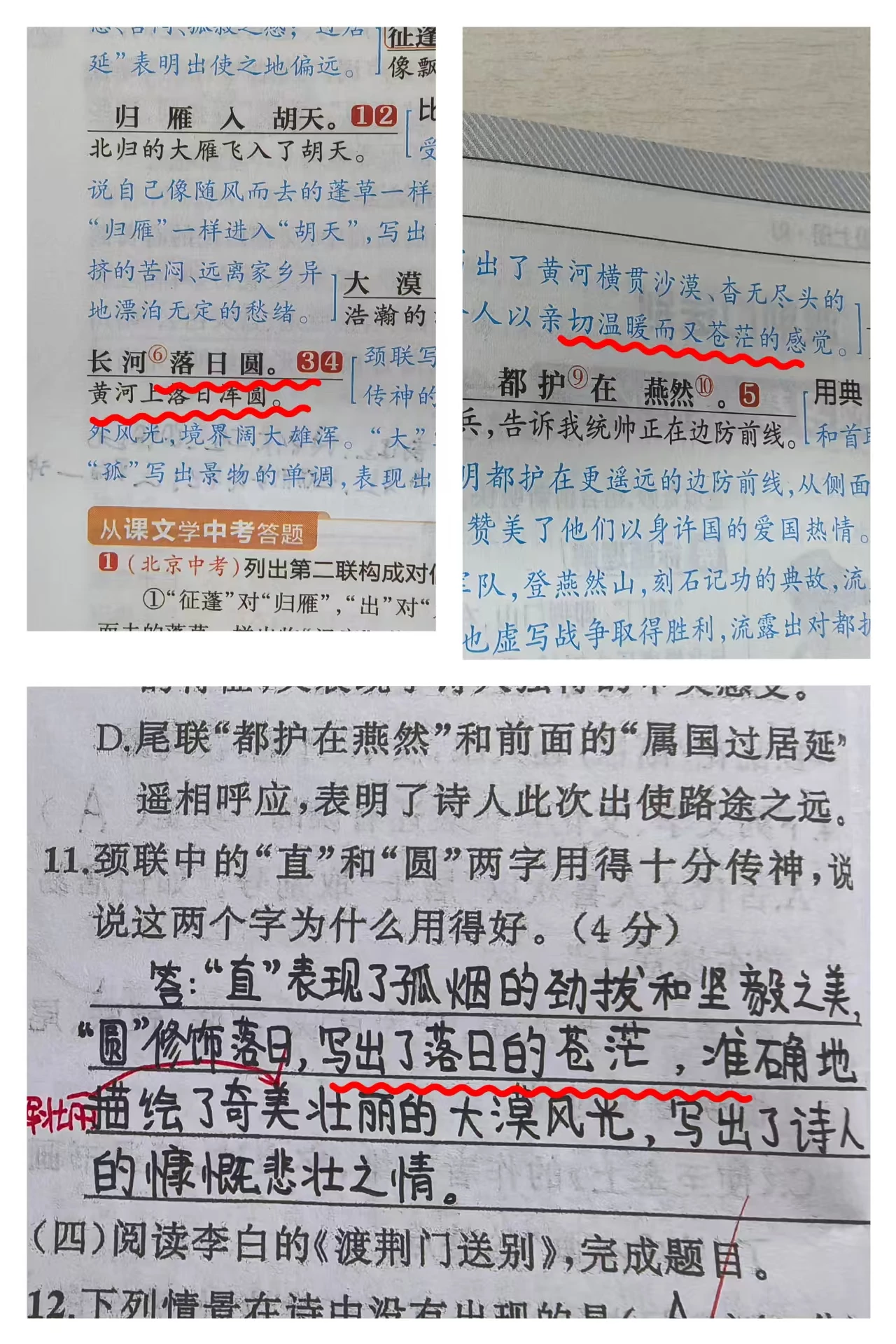 初中语文心得--细