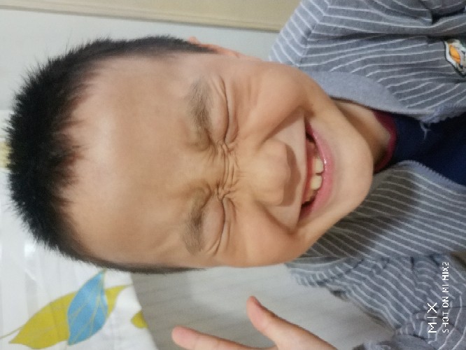 螞蚱