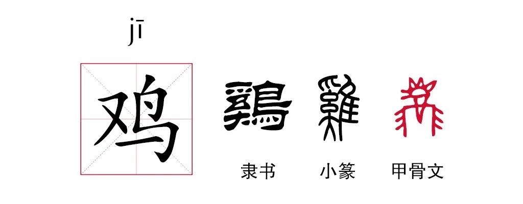 科學(xué)雞娃：不較勁