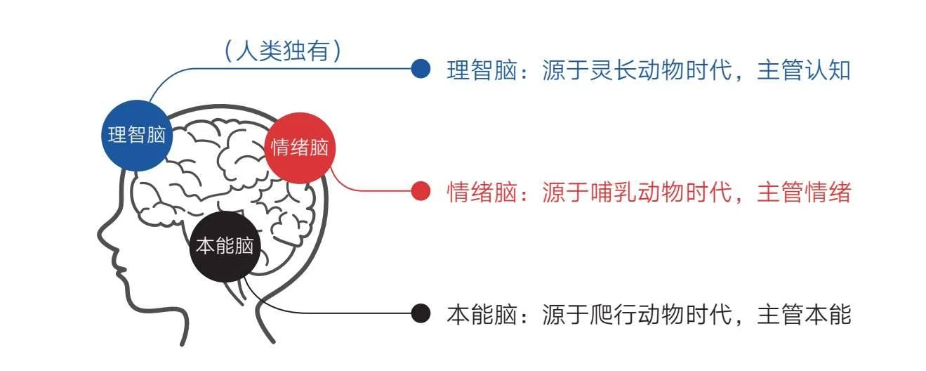 《認(rèn)知覺(jué)醒：伴隨