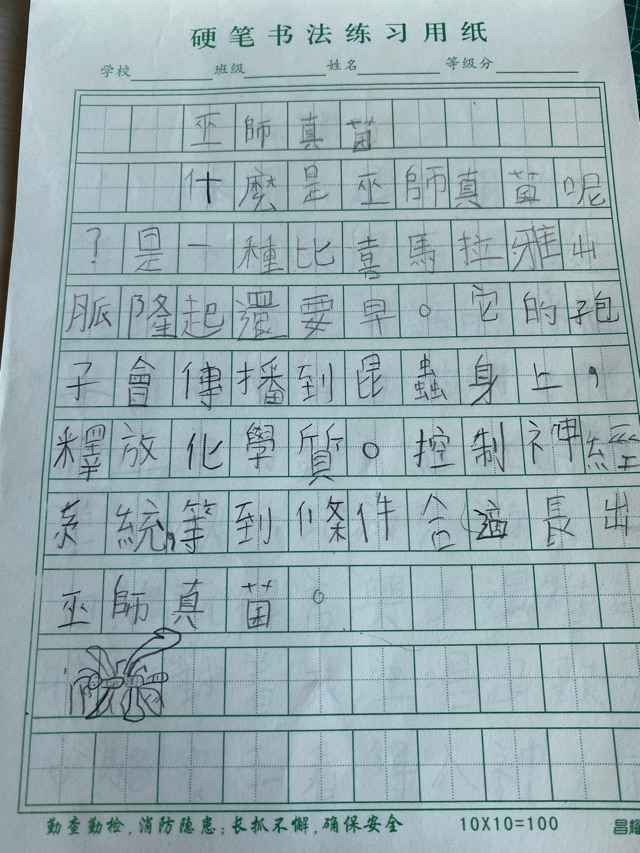 寫作初練習