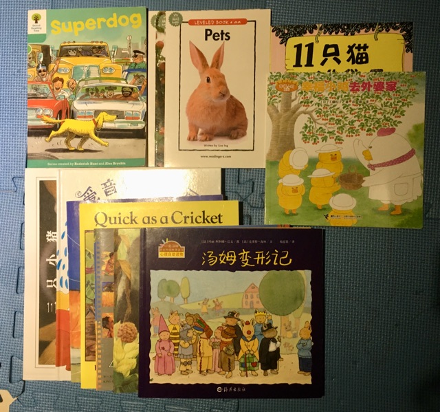 第479天