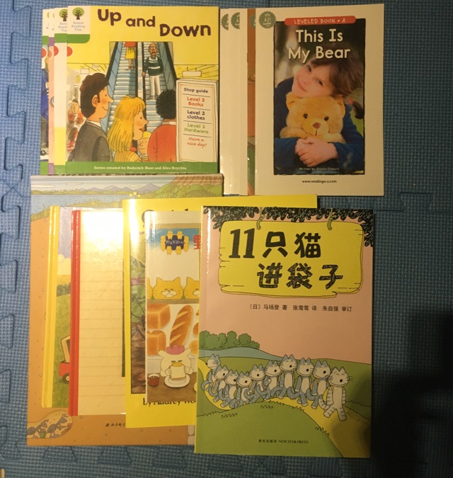 第502天