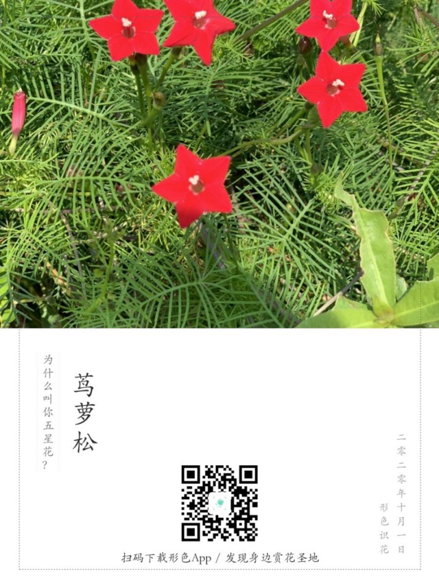 第一天泡農(nóng)場