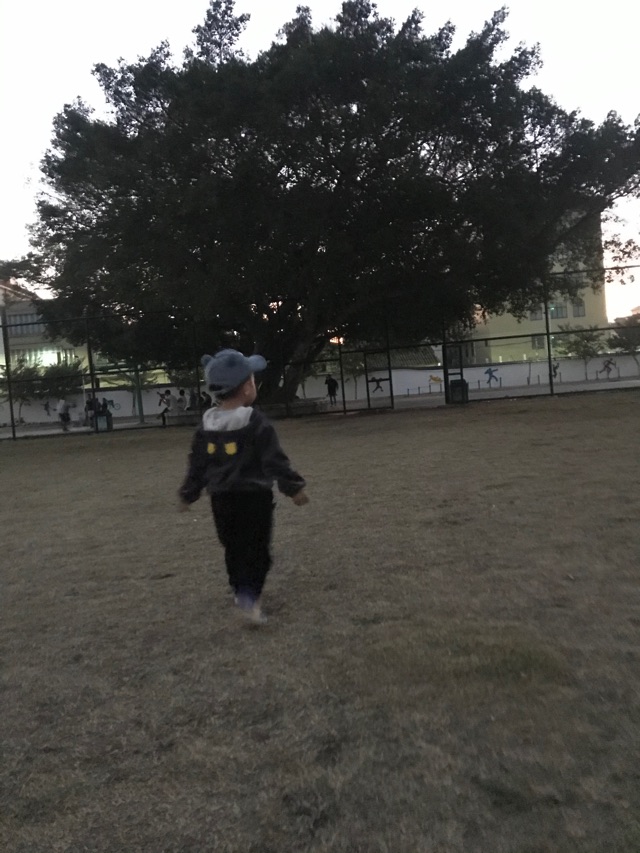 【20201212凱凱打