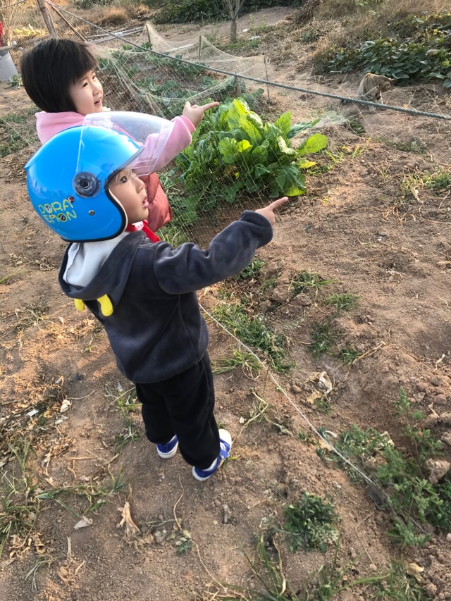 【20210114凱凱打