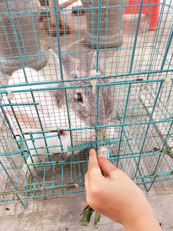 【20210717凱凱打
