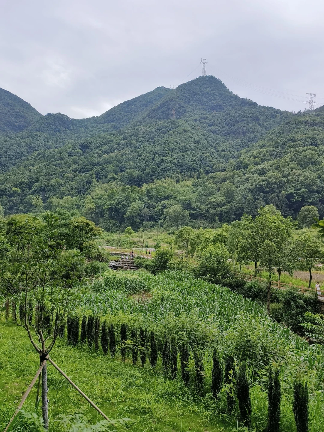 《我就是我》心理