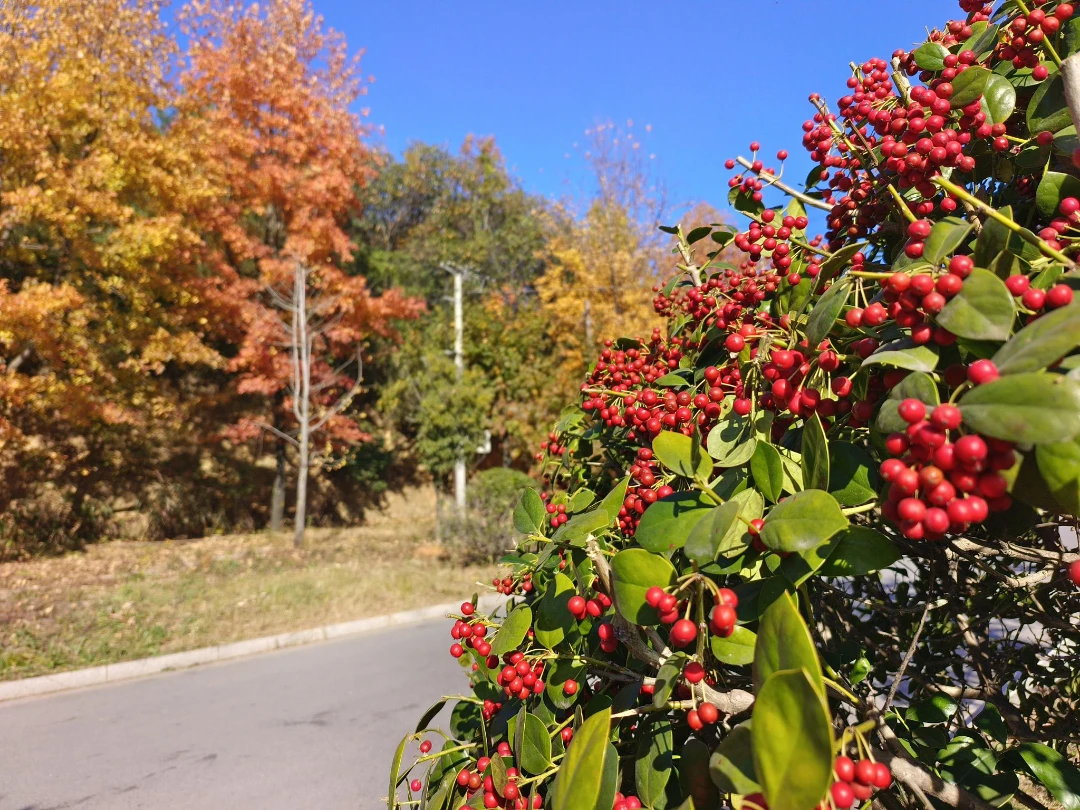 历历在目｜2025，