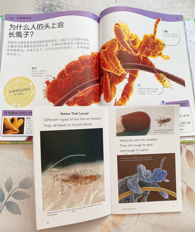 Raz～I級拓展～動