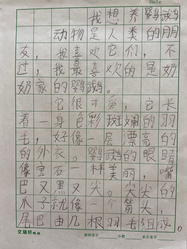 我想養(yǎng)鸚鵡