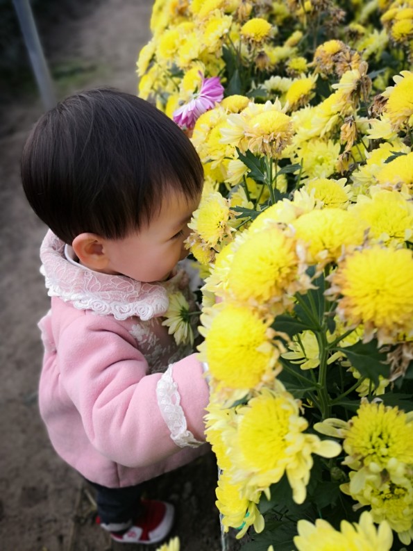 今日流水賬