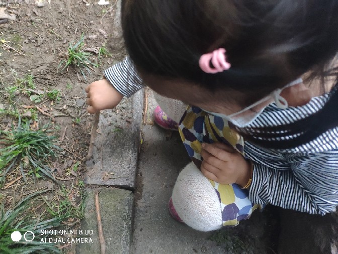 2020.5.21數(shù)學啟