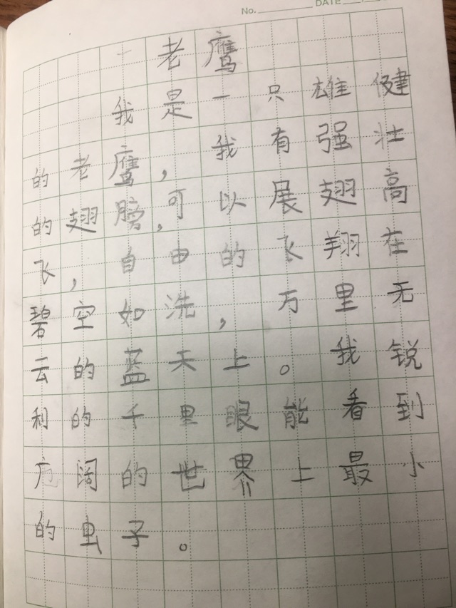 老鷹