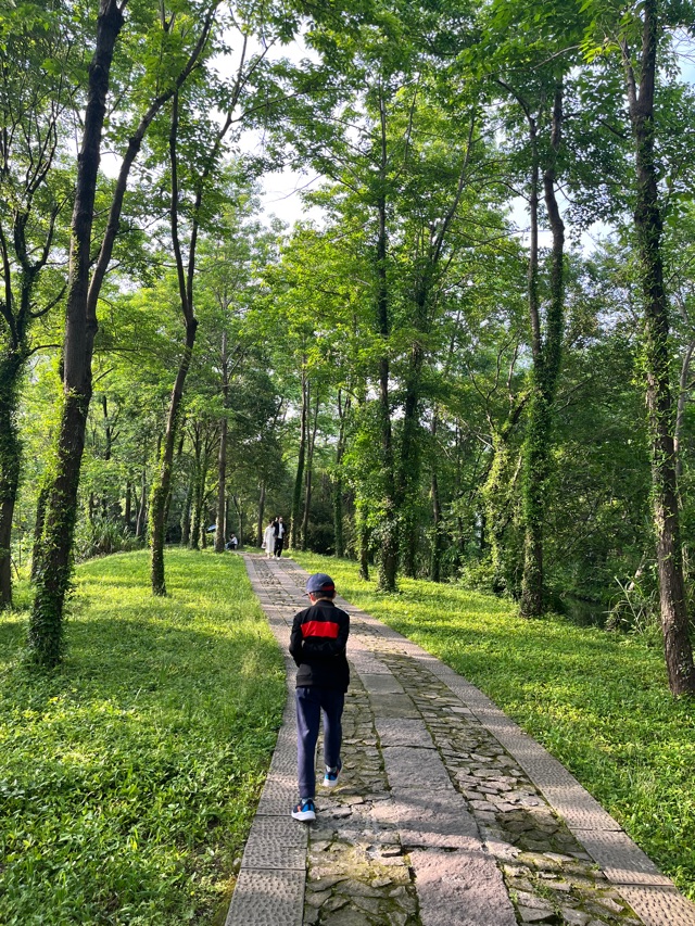 家门口的后花园西