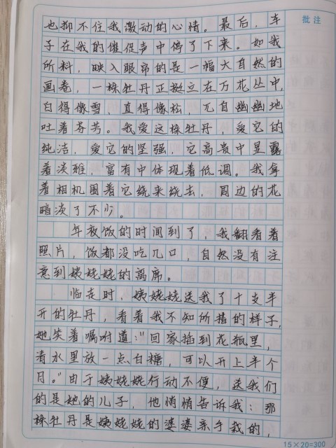 晒一晒我家娃的作文