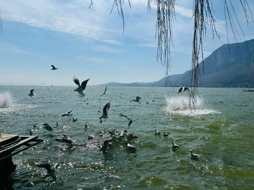 几款常用英语启蒙