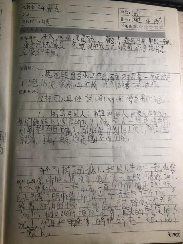 碎瓷片