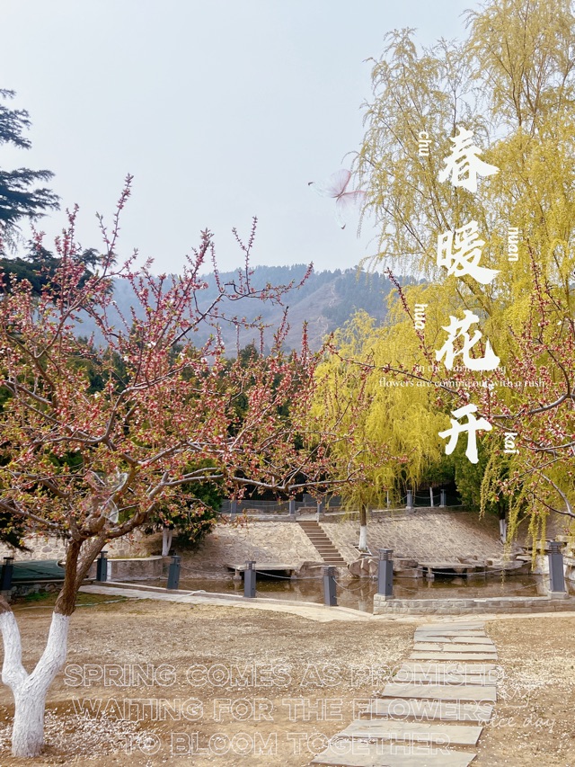 曬一曬這春日繁花
