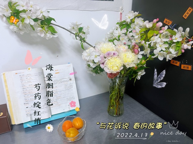 詩和遠(yuǎn)方打卡記錄