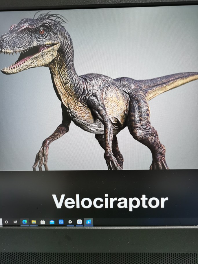 velociraptor 也