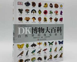 DK儿童百科的好书
