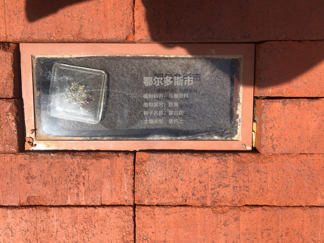 2023.05.07小草公
