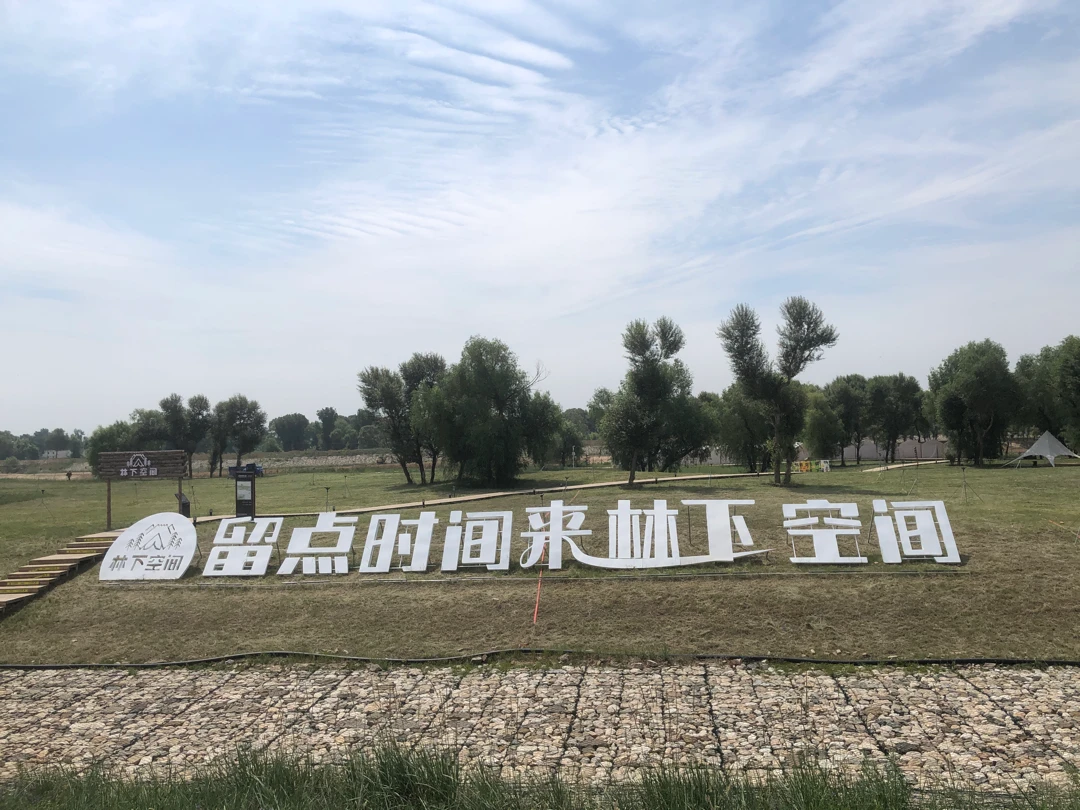 大黑河林下空間