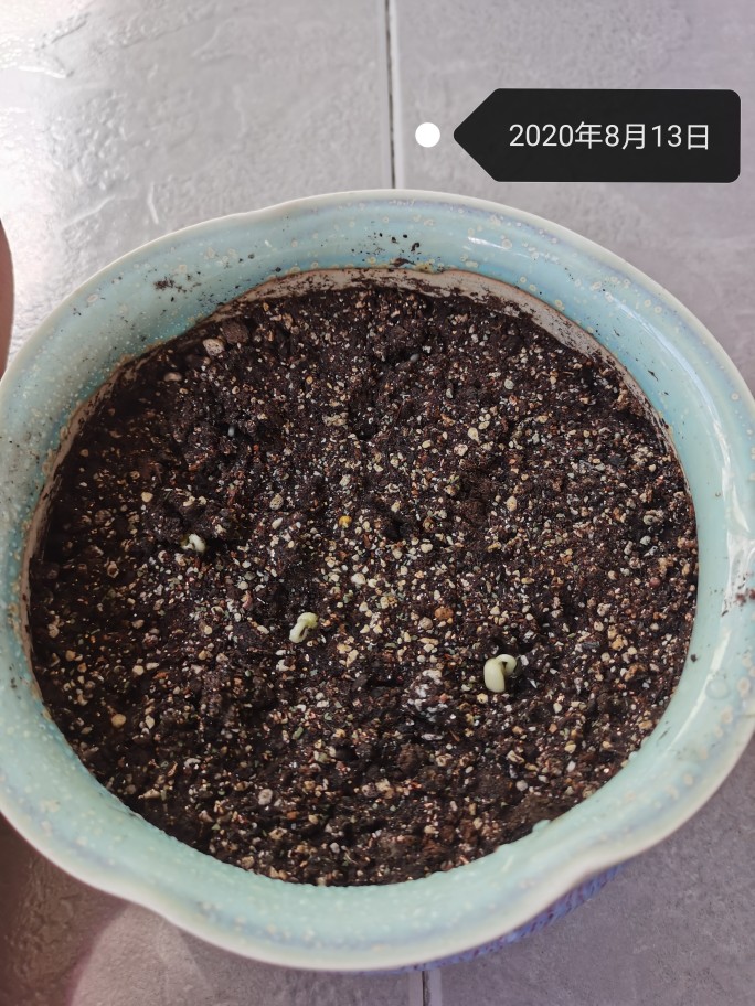 收獲了人生中第一
